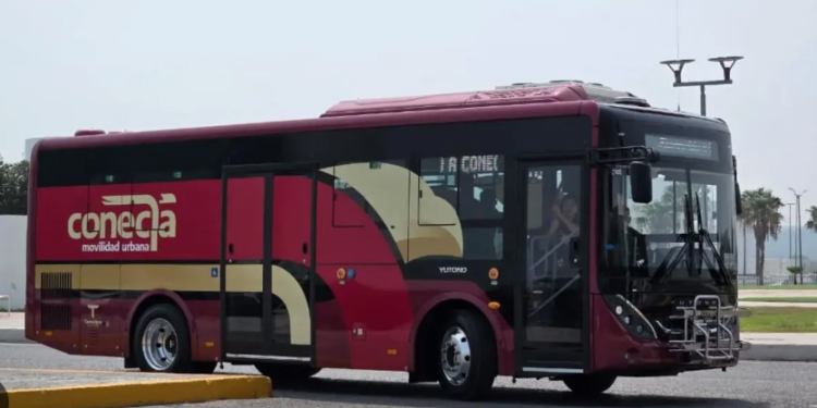 Alista Tamaulipas compra de 92 autobuses para 2027