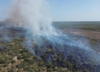 Incendio golpea Área Natural  Protegida de la Sierra de Tamaulipas