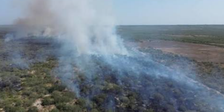 Incendio golpea Área Natural Protegida de la Sierra de Tamaulipas