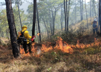 Nuevos incendios golpean  las sierras de Tamaulipas   