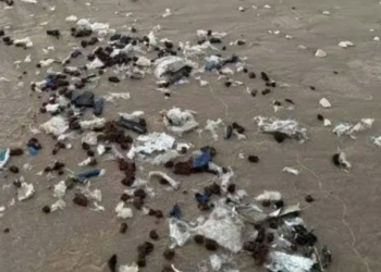 Falta de cultura convierte  las playas en basureros