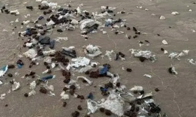 Falta de cultura convierte  las playas en basureros