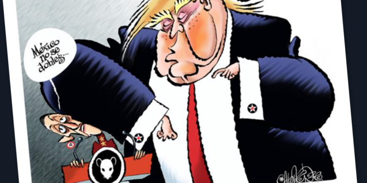 Cartoon