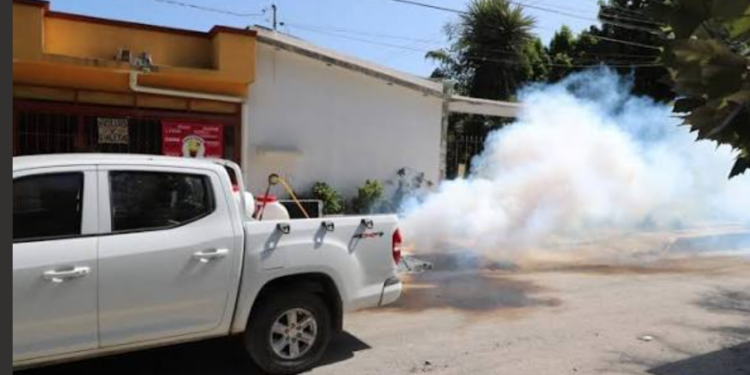 Disminuye el dengue en Tamaulipas