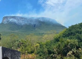 Incendio consume más de 200 hectáreas en Soto la Marina