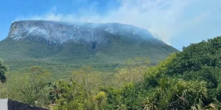 Incendio consume más de 200 hectáreas en Soto la Marina