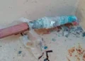 Dejan sin agua a kínder tras robar tubería de cobre en Victoria