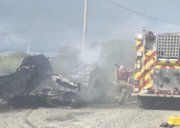 Hacen fogata para ahuyentar abejas y terminan incendiando un tráiler