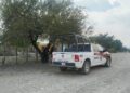 Hallan camioneta cargada de ponchallantas y cartuchos en Güémez
