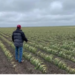    Distribuirán apoyos al campo  con base en datos del INEGI   