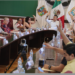 Aprueba Cabildo de Victoria donación a SEP para la construcción del Bachillerato Nacional «Margarita Maza». 