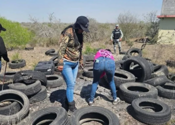 Buscan proteger a madres buscadoras  sin exigir denuncia previa   