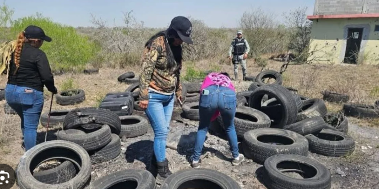 Buscan proteger a madres buscadoras  sin exigir denuncia previa   