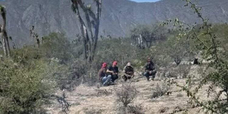 Hallan sin vida a campesino desaparecido en Tula